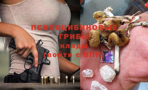 ПСИЛОЦИБИНОВЫЕ ГРИБЫ Белоозёрский