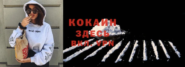 твердый Белокуриха