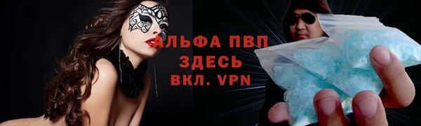 спайс Богданович
