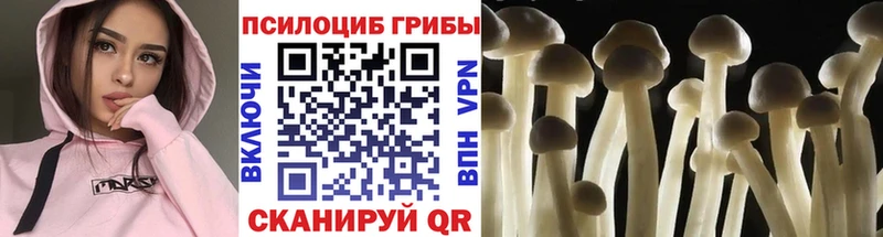 Галлюциногенные грибы MAGIC MUSHROOMS  как найти закладки  Олёкминск 