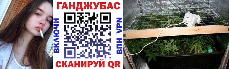 купить наркотики сайты  Олёкминск  Шишки марихуана гибрид 